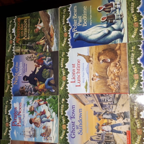 Magic Tree House 1-18 and 17,18,20,21,22,23 Magic Tree House Merlin Missions. - Picture 4 of 5